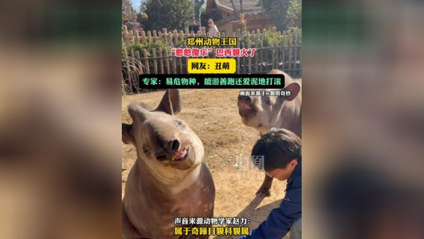 王健林开年出售5座万达广场,澳门资料库澳门资料大全1,决策资料解释落实_移动版V4.28