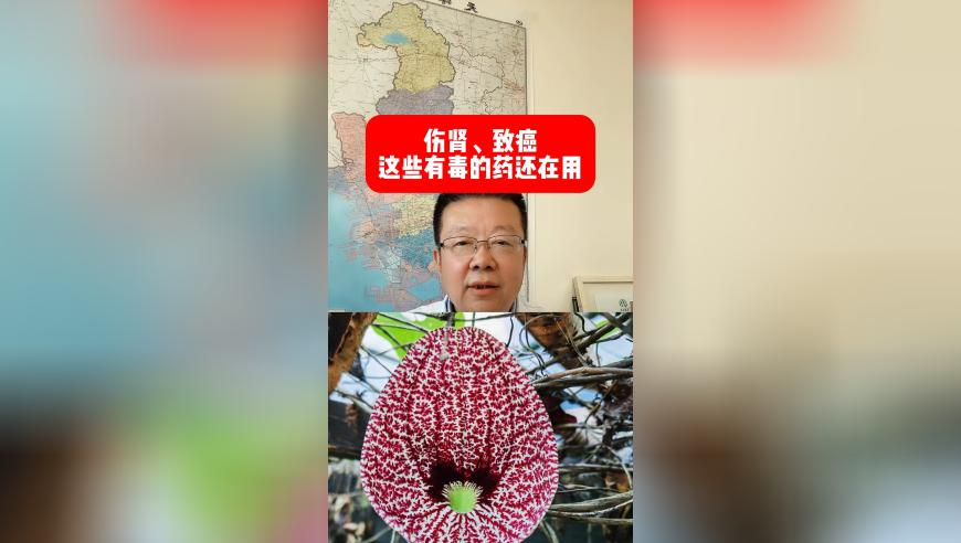 春泥翻唱,2025澳门六合资料大全,最佳精选解释落实_枚举版V5.64